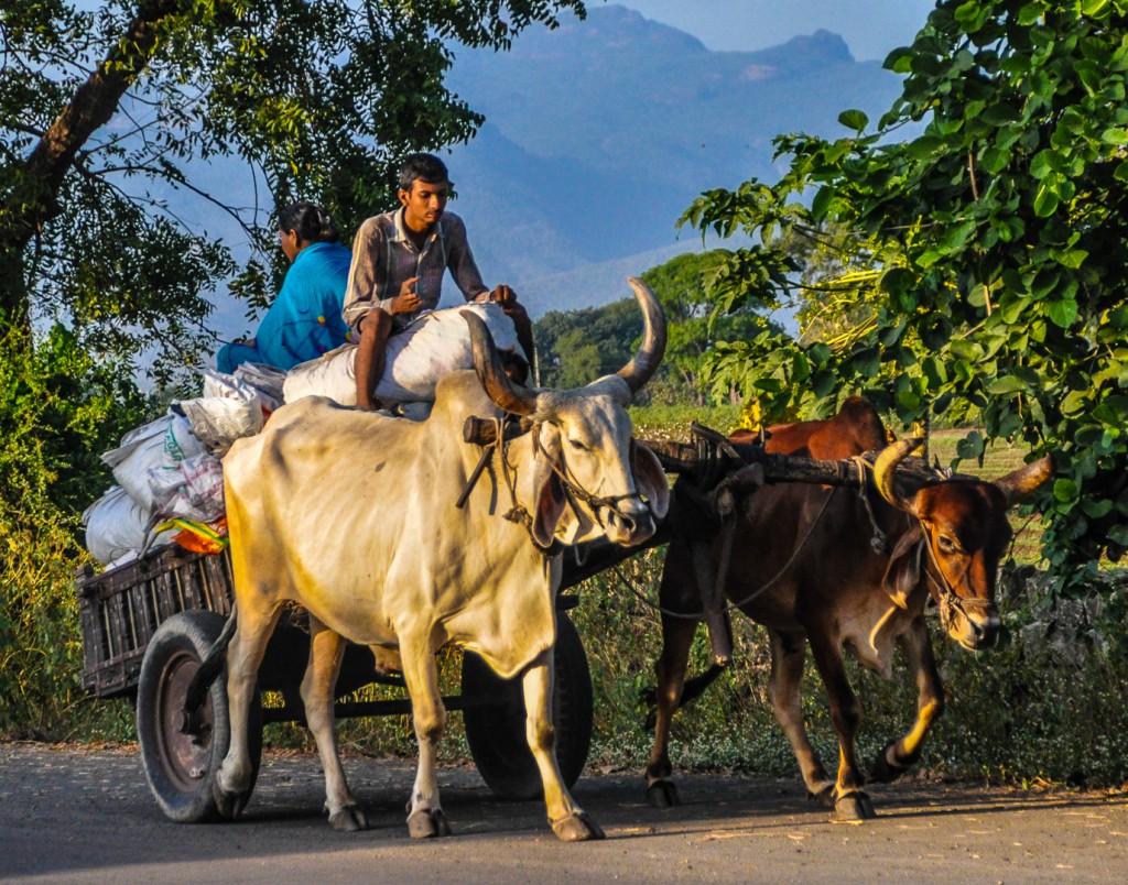 Paal Konow viser bilder fra India