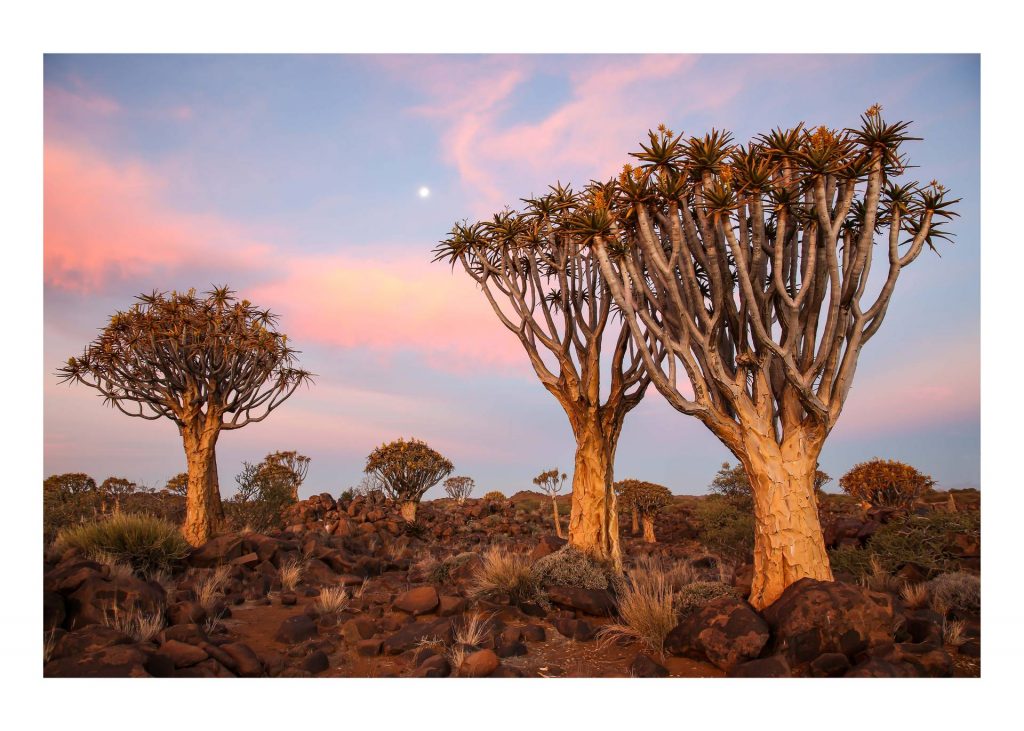 foto: Ulla Spansdahl