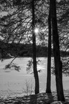 Stille dag ved skogstjern