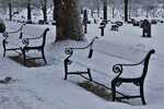 De stille benkene