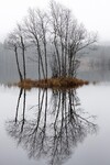 Autumn silence needed