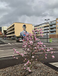 Urban natur i Drammen