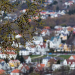 Spring over Town