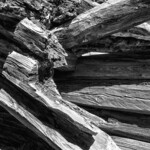 Forfall