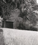 Utgrodd hus