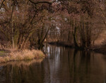 Nature Calmness