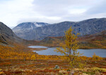 Høst på fjellet.