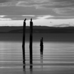 Silence