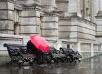 The red umbrella