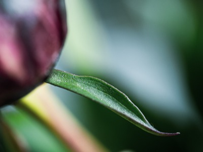 Becoming One