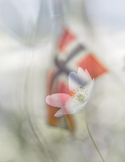 17.mai
