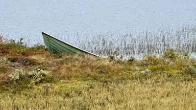 Litt høst