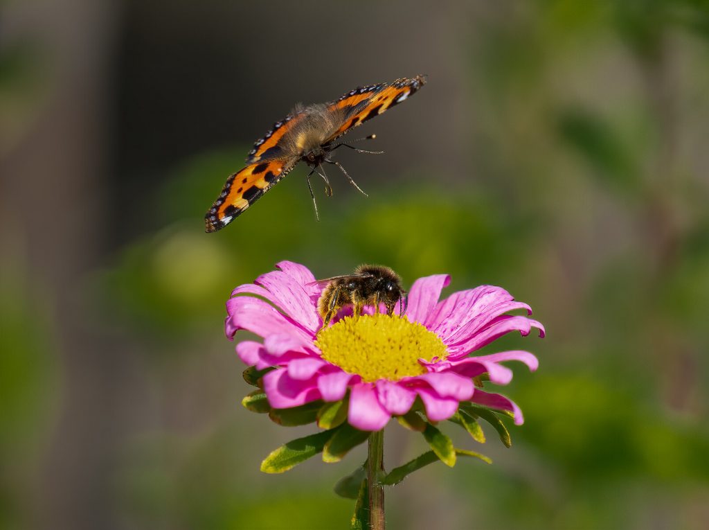 Delt første plass i macro