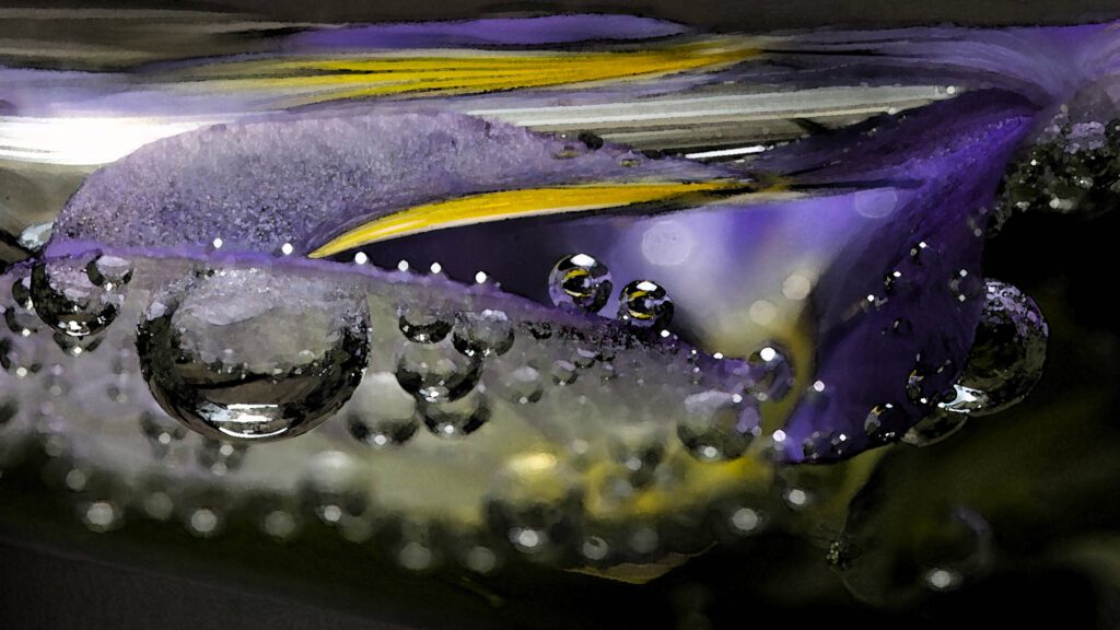 Bjørn Helge Sætersmoen vant månedens bilde i februar